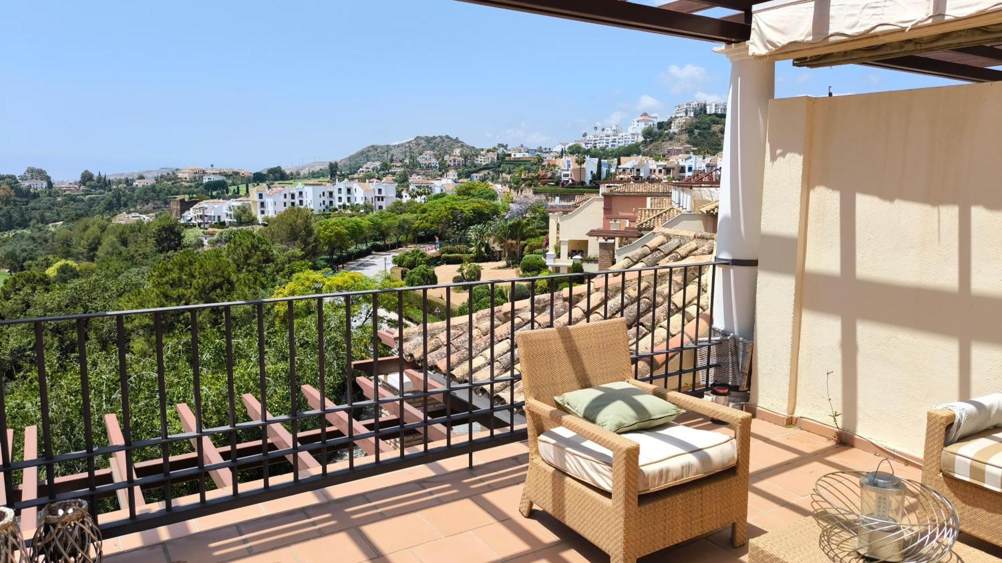 Stunning Views In Jacarandas *