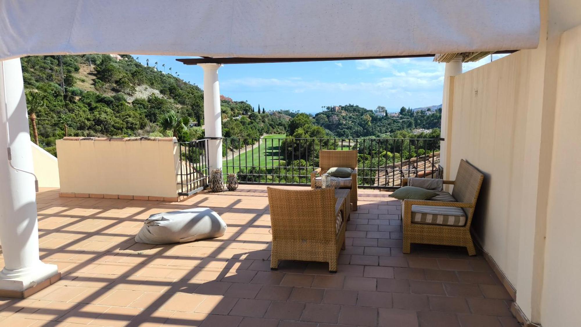 Stunning Views In Jacarandas